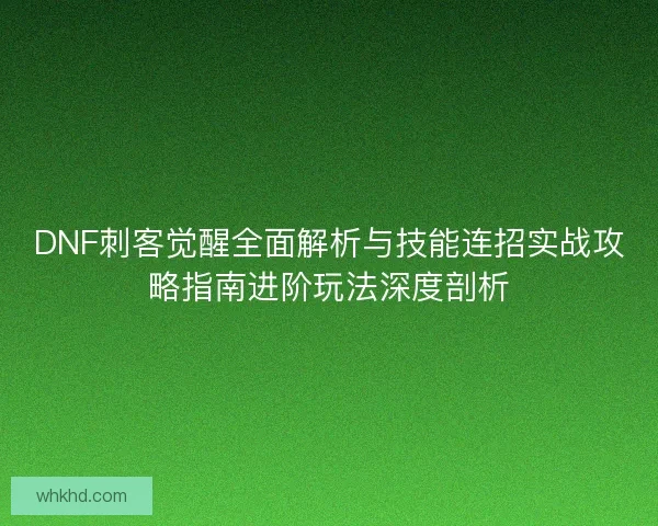 DNF刺客觉醒全面解析与技能连招实战攻略指南进阶玩法深度剖析
