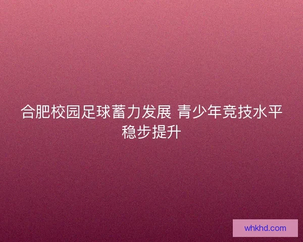 合肥校园足球蓄力发展 青少年竞技水平稳步提升
